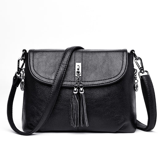 MINTEGRA Crossbody Bag for Women with Tassel Functional Shoulder Purse Saddle Messenger Bag