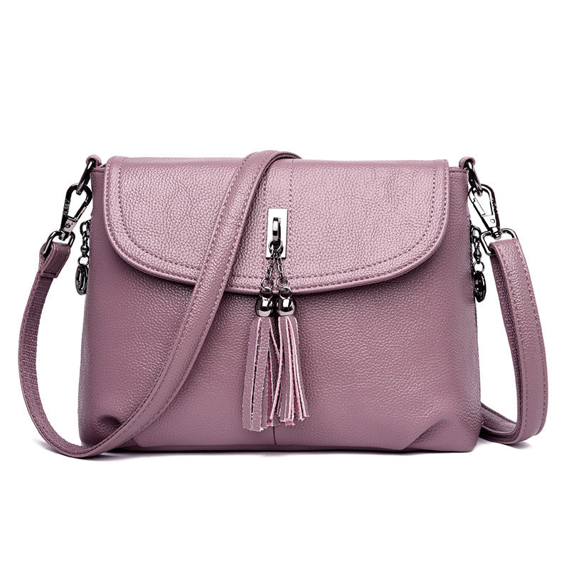 MINTEGRA Crossbody Bag for Women with Tassel Functional Shoulder Purse Saddle Messenger Bag