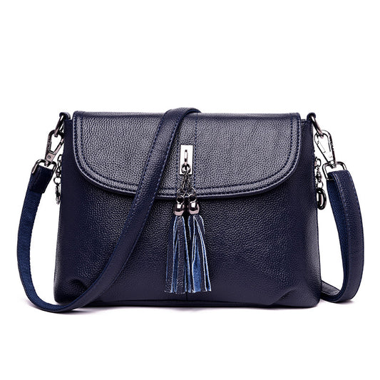 MINTEGRA Crossbody Bag for Women with Tassel Functional Shoulder Purse Saddle Messenger Bag