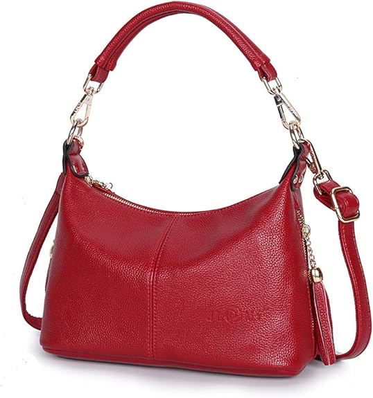MINTEGRA Womens Handbags Hobo Shoulder Bag Crossbody Bag Shoulder Purse with Tassel