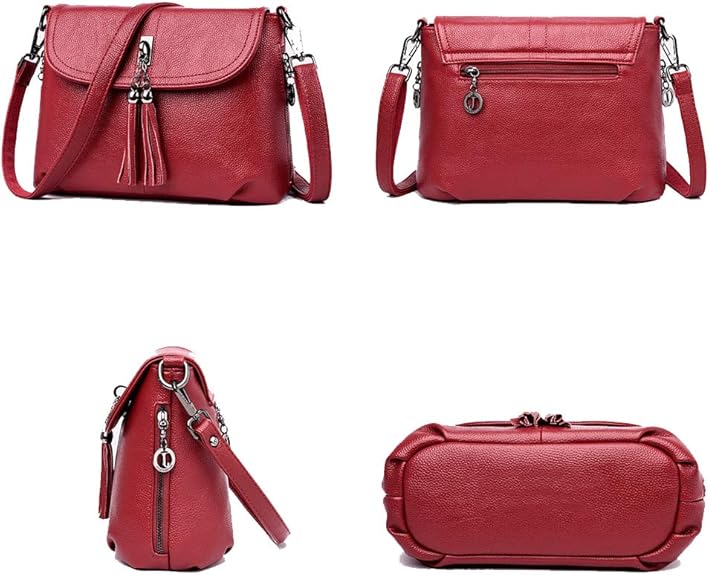 MINTEGRA Crossbody Bag for Women with Tassel Functional Shoulder Purse Saddle Messenger Bag