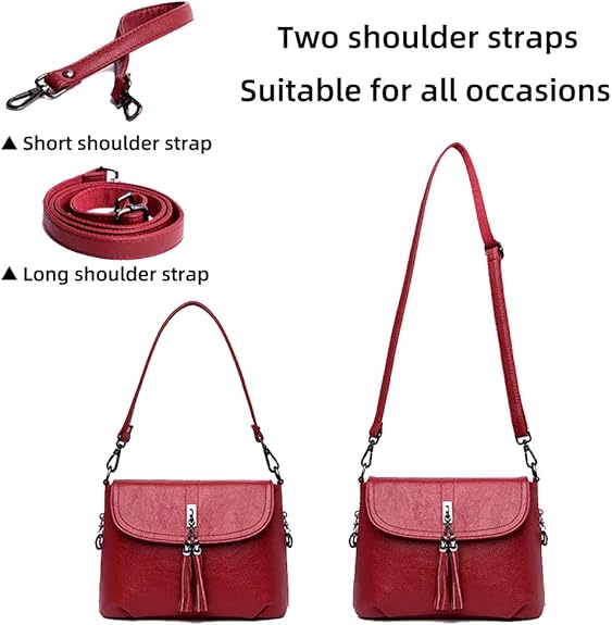 MINTEGRA Crossbody Bag for Women with Tassel Functional Shoulder Purse Saddle Messenger Bag